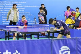 足球俱乐部年度转会总结